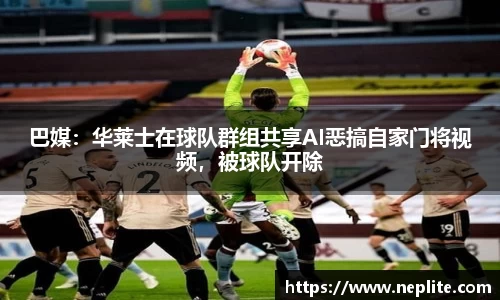 b.sports体育