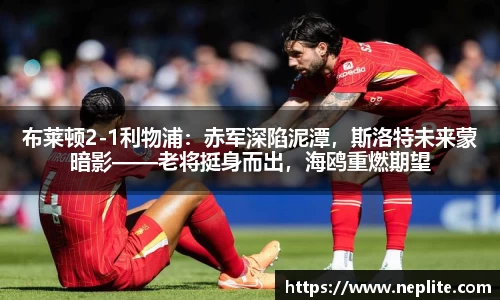 必一体育